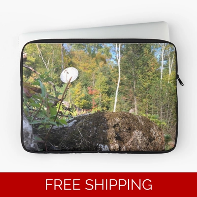 Le Studio Laptop Sleeve Satellite Dish 2019